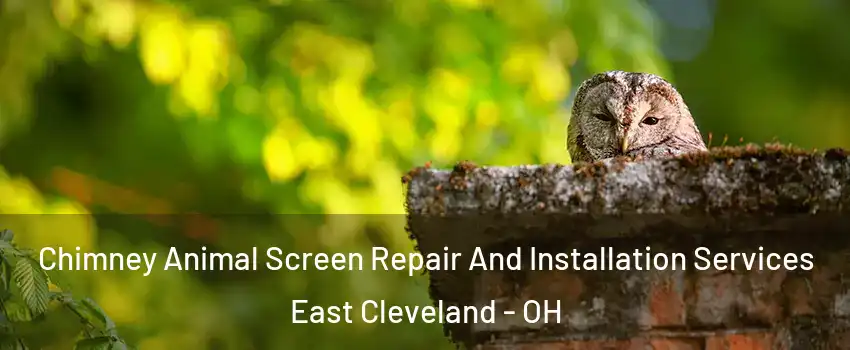  Chimney Animal Screen Repair And Installation Services East Cleveland - OH