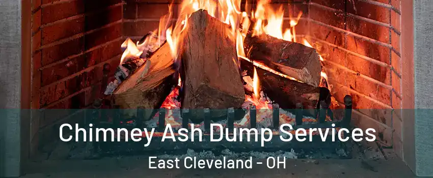  Chimney Ash Dump Services East Cleveland - OH