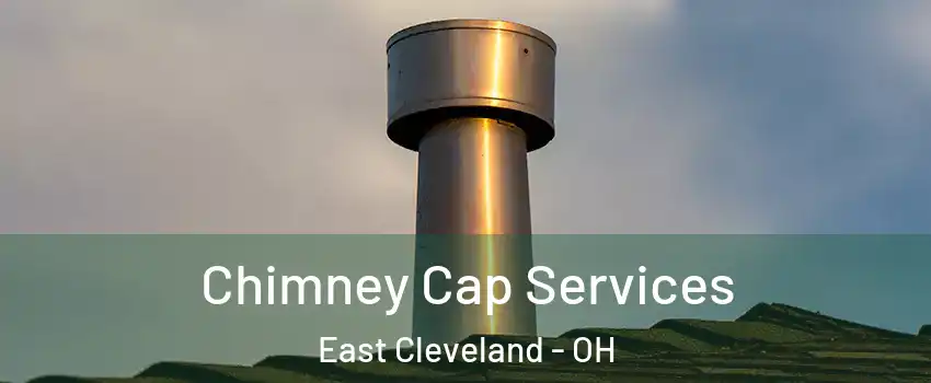  Chimney Cap Services East Cleveland - OH