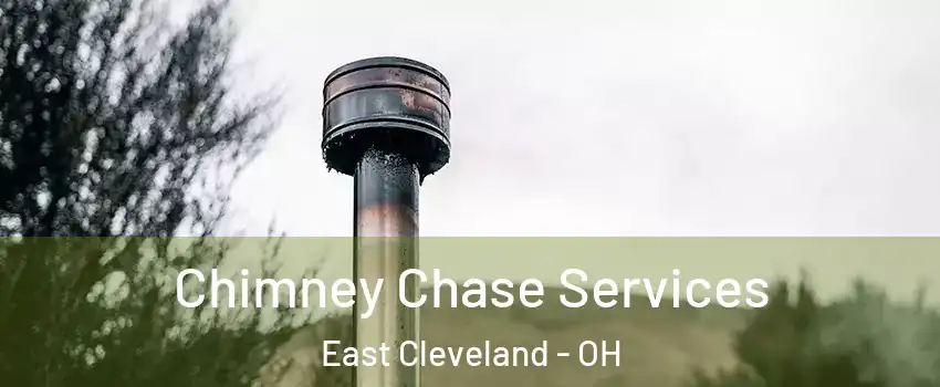  Chimney Chase Services East Cleveland - OH