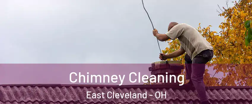  Chimney Cleaning East Cleveland - OH