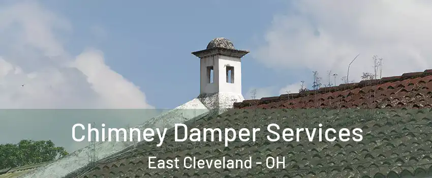  Chimney Damper Services East Cleveland - OH