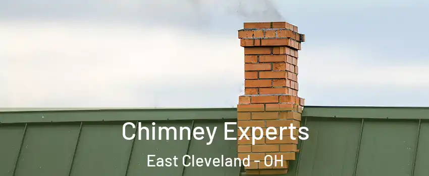  Chimney Experts East Cleveland - OH