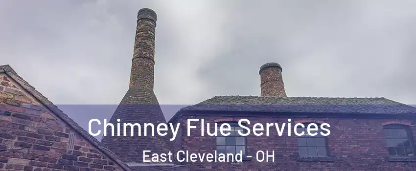  Chimney Flue Services East Cleveland - OH