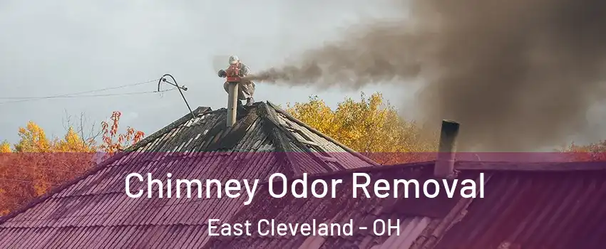  Chimney Odor Removal East Cleveland - OH