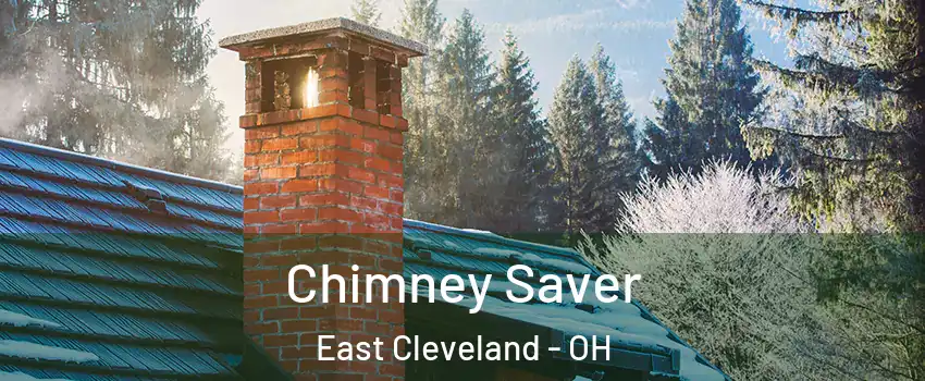  Chimney Saver East Cleveland - OH