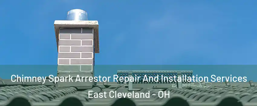  Chimney Spark Arrestor Repair And Installation Services East Cleveland - OH