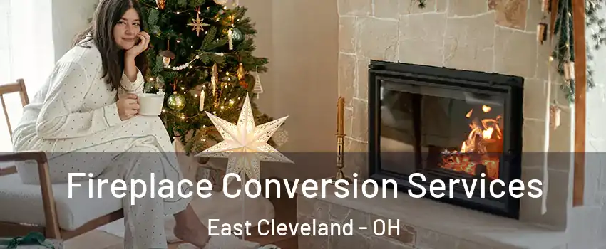  Fireplace Conversion Services East Cleveland - OH