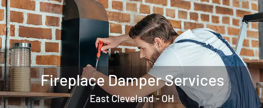 Fireplace Damper Services East Cleveland - OH