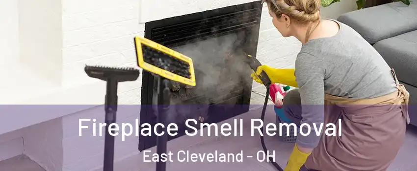  Fireplace Smell Removal East Cleveland - OH