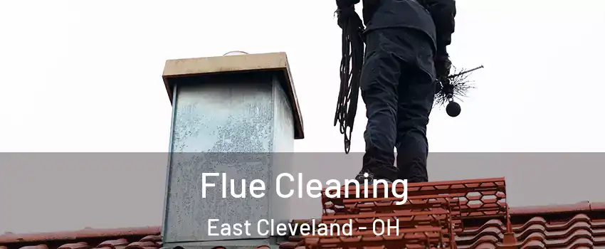  Flue Cleaning East Cleveland - OH