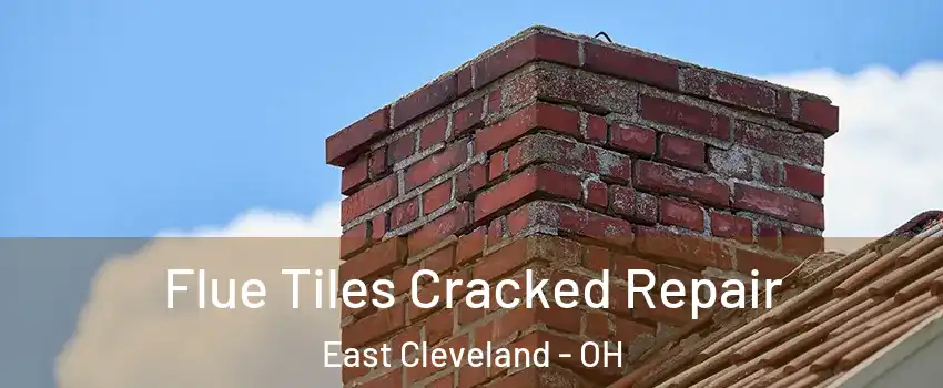  Flue Tiles Cracked Repair East Cleveland - OH