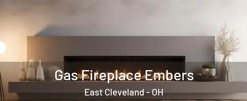  Gas Fireplace Embers East Cleveland - OH