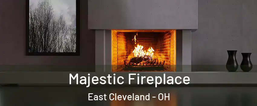  Majestic Fireplace East Cleveland - OH