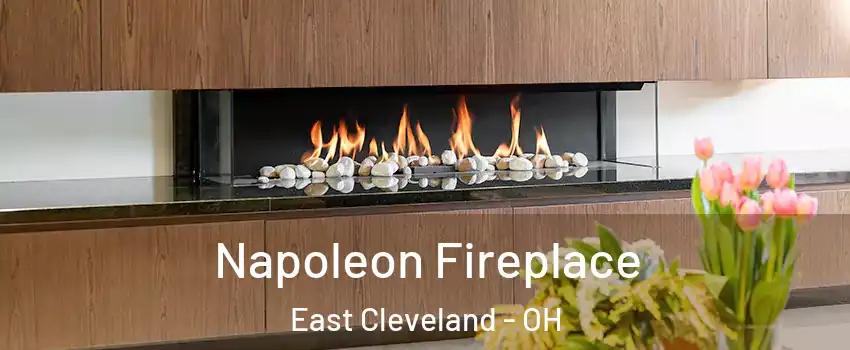  Napoleon Fireplace East Cleveland - OH