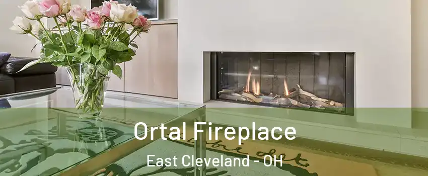  Ortal Fireplace East Cleveland - OH