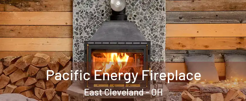  Pacific Energy Fireplace East Cleveland - OH